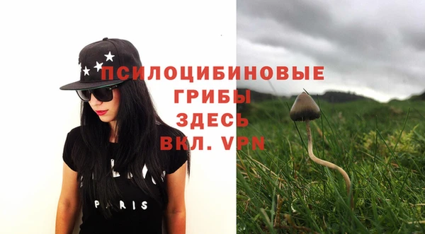 ГАЛЛЮЦИНОГЕННЫЕ ГРИБЫ Березники