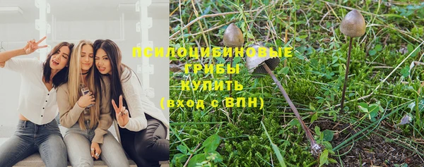 mdma Пролетарск